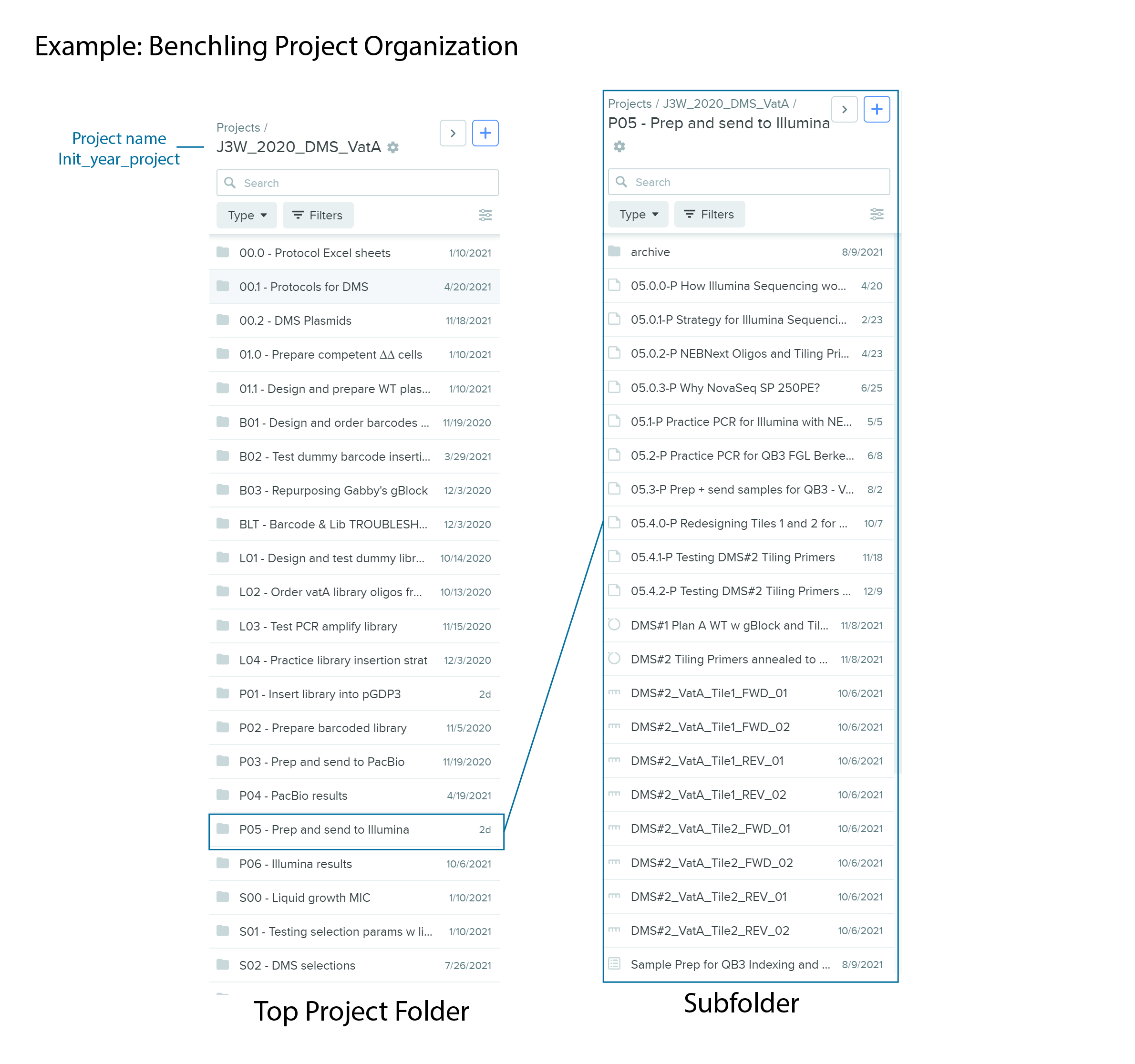 Benchling Folder Organization
